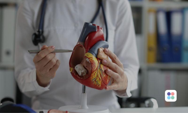 Gehalt Kardiologe in der Praxis in Deutschland.